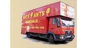 Ants Removals